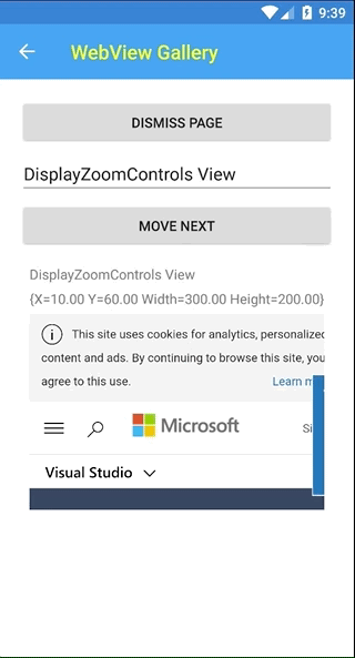 WebView DisplayZoomControls